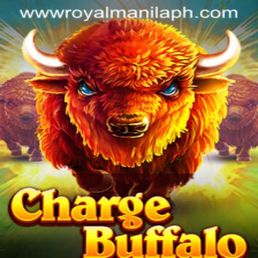Unveiling ChargeBuffalo